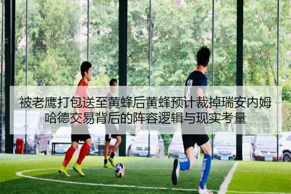 被老鹰打包送至黄蜂后黄蜂预计裁掉瑞安内姆哈德交易背后的阵容逻辑与现实考量